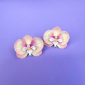 Yellow Orchid 16 - Small